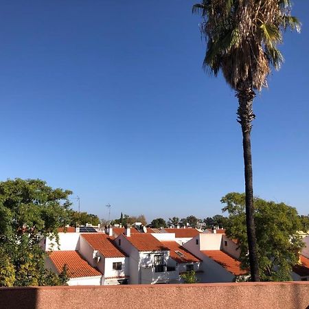 Apartament Familia Anfitriona Acoge Terraza Sewilla Zewnętrze zdjęcie