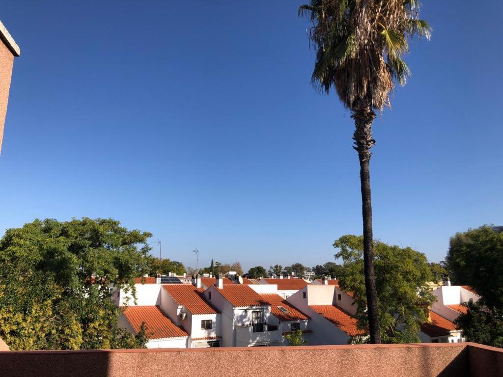Apartament Familia Anfitriona Acoge Terraza Sewilla Zewnętrze zdjęcie